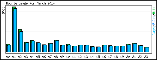 Hourly usage