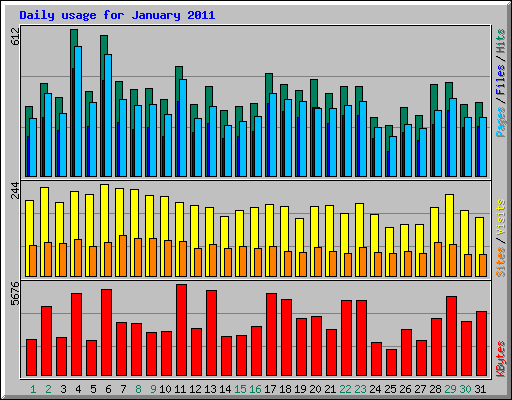 Daily usage for January 2011