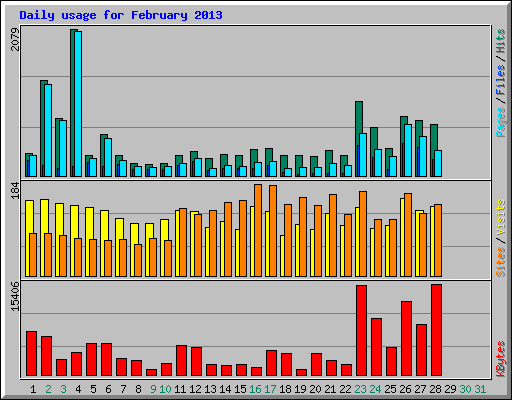 Daily usage for February 2013