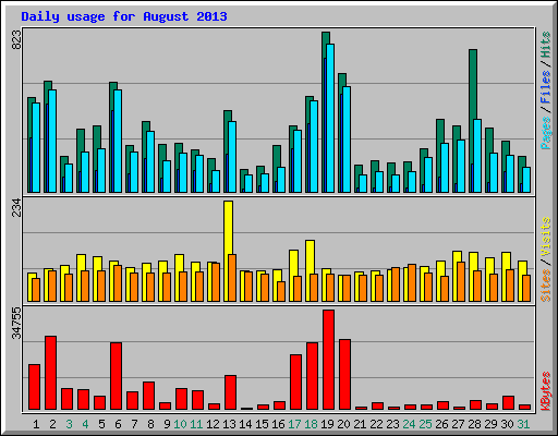 Daily usage for August 2013