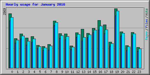 Hourly usage for January 2016